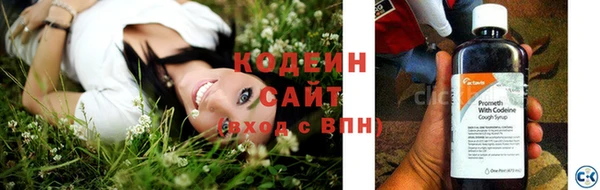 стаф Пестово