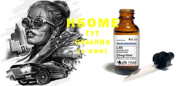 винт Пересвет