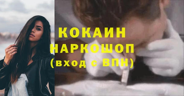 винт Пересвет