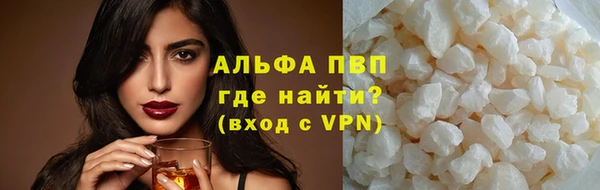 стаф Пестово