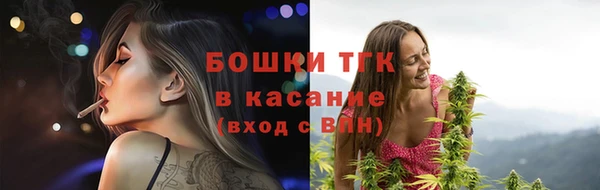 стаф Пестово
