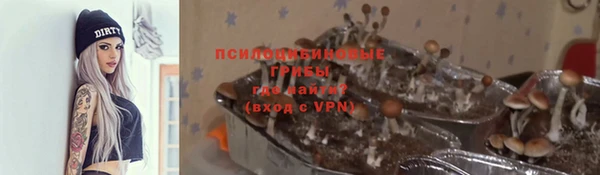 винт Пересвет