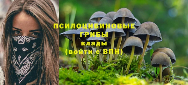 винт Пересвет