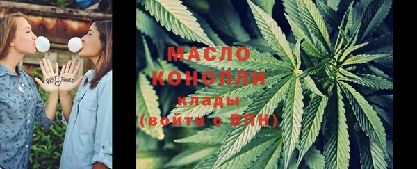 винт Пересвет