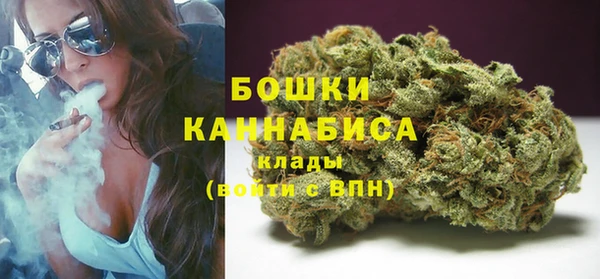 винт Пересвет
