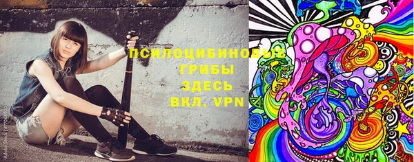 стаф Пестово