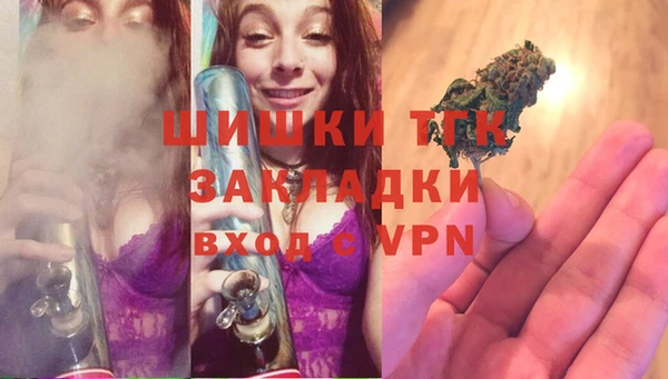 стаф Пестово