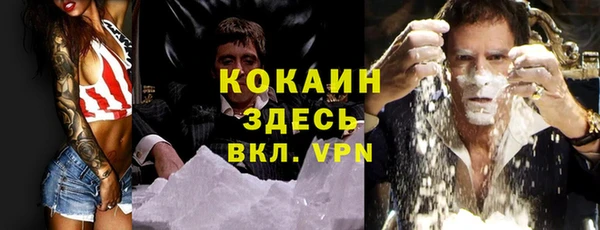 стаф Пестово