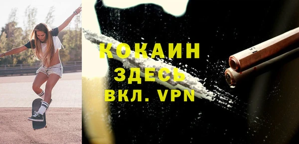 винт Пересвет